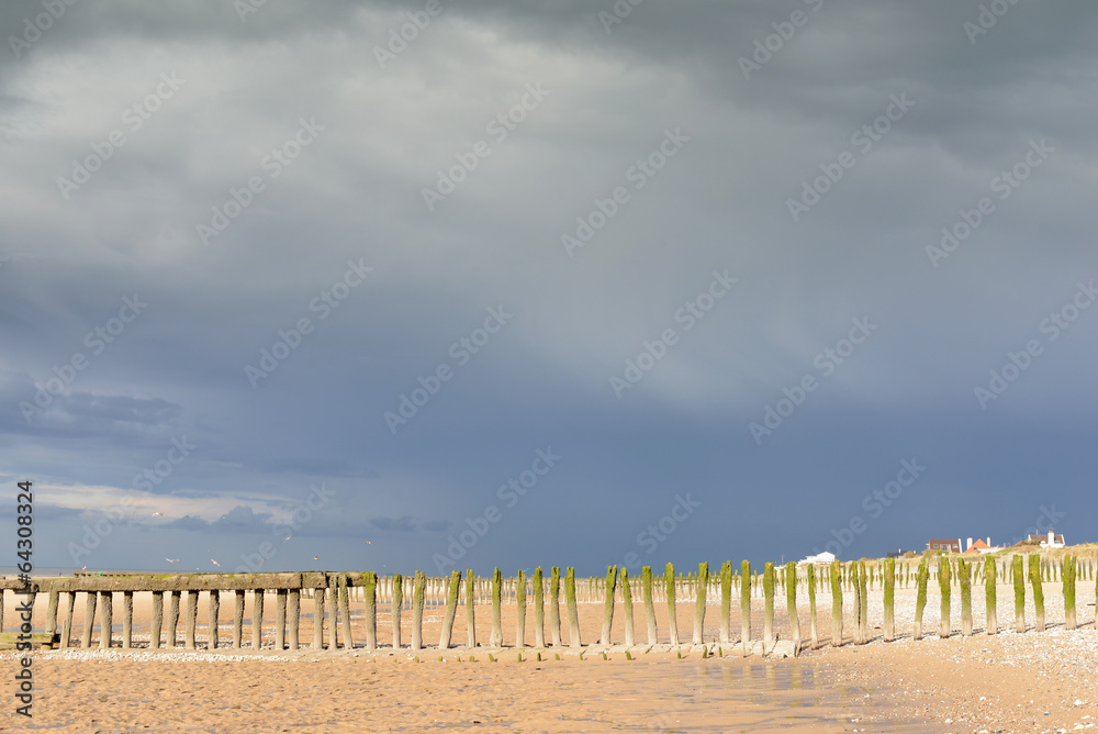 Fototapeta premium ciel de contraste