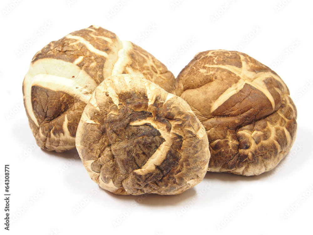 Dry dried mushrooms isolated on white background. Selective focu Dry dried mushrooms isolated on white background. Selective focu