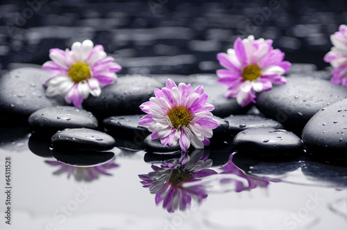 Four and stones in water drops