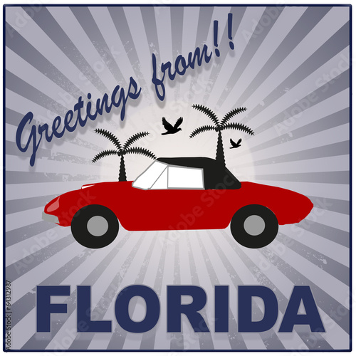 greetings from florida background photo