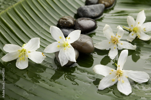 Pile of stones with white five orchid on banana leaf
