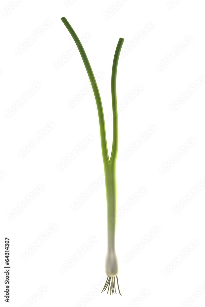 realistic 3d render of spring onion realistic 3d render of spring onion
