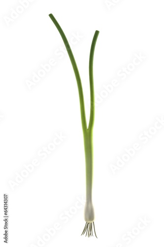 Wallpaper Mural realistic 3d render of spring onion Torontodigital.ca