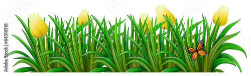 A garden with yellow flowers