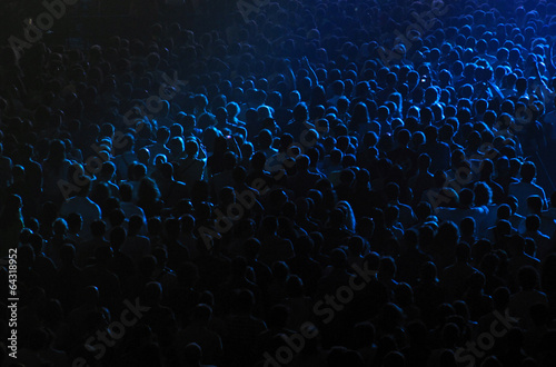 Cheering crowd in a concert hall