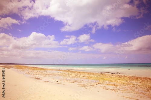 Cuba - tropical beach in Cayo Coco - cross processed color tone