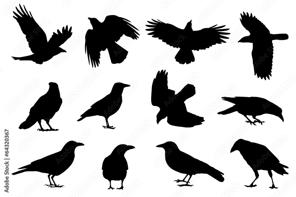 custom made wallpaper toronto digitalcrow silhouettes