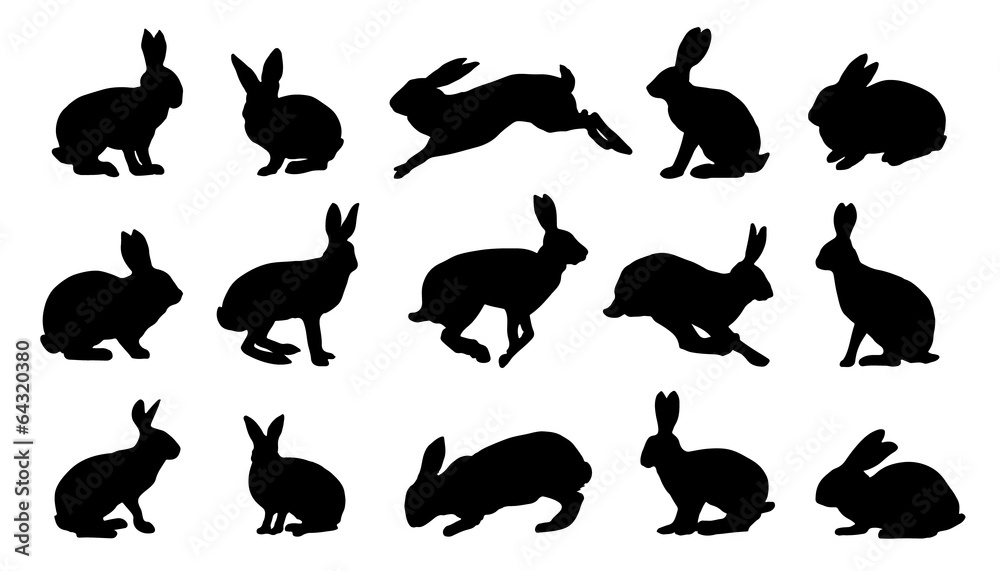 Obraz premium sylwetki królika