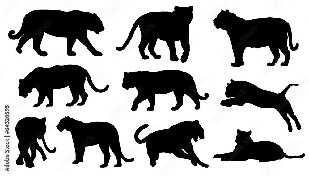 Obraz premium tiger silhouettes
