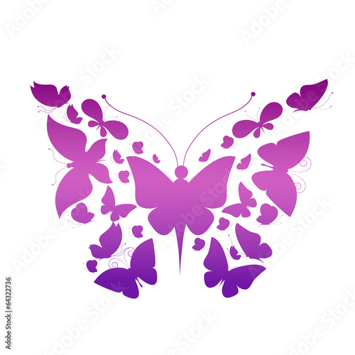 butterflies design