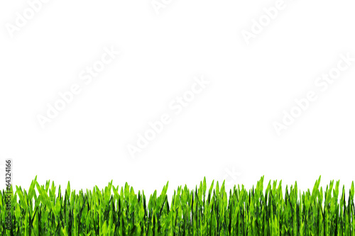 green grass frame on white isolate background