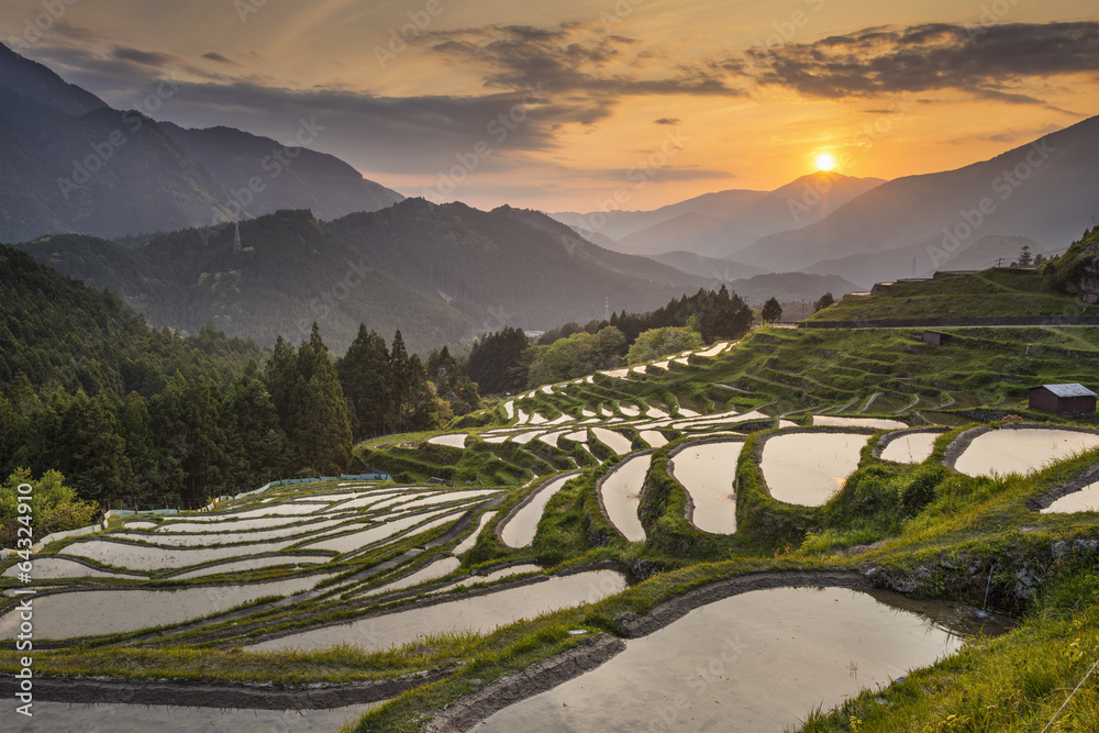 Obraz premium Rice Terraces