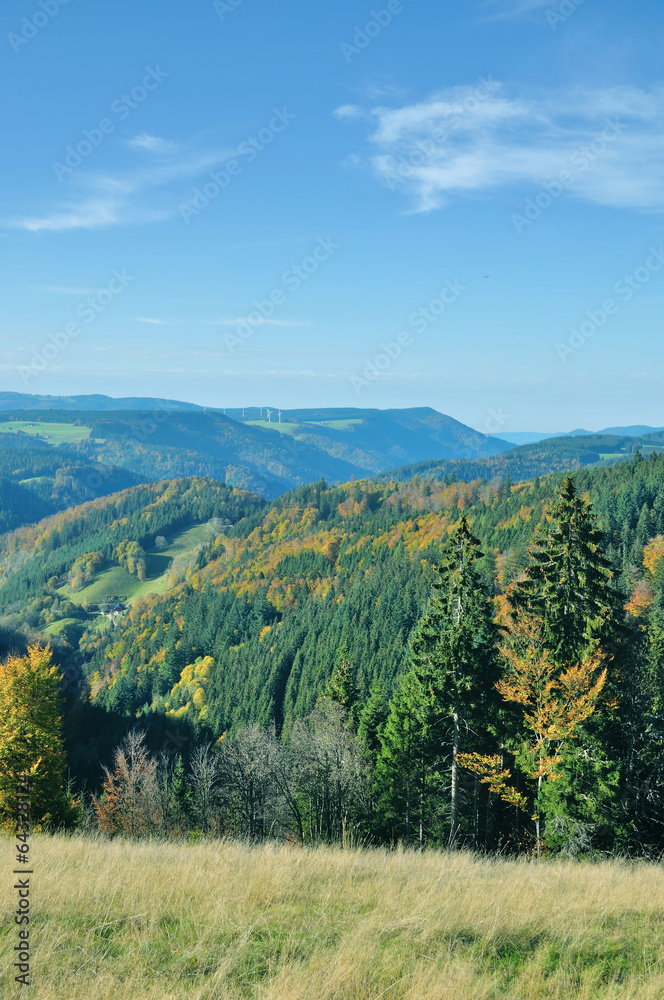 Blick von der bekannten Schwarzwaldhochstrasse Blick von der bekannten Schwarzwaldhochstrasse