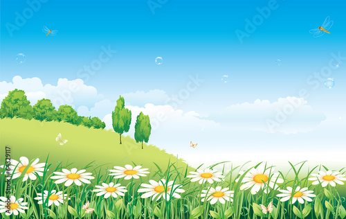 Flowery meadow with daisies