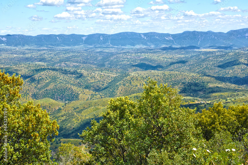 Fototapeta premium Valle de Alcudia, Ciudad Real, hábitat, ecosistema