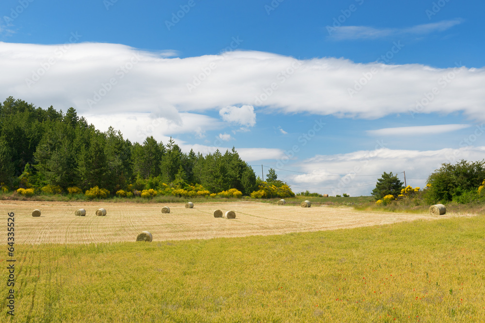 Fototapeta premium Rural French landscape