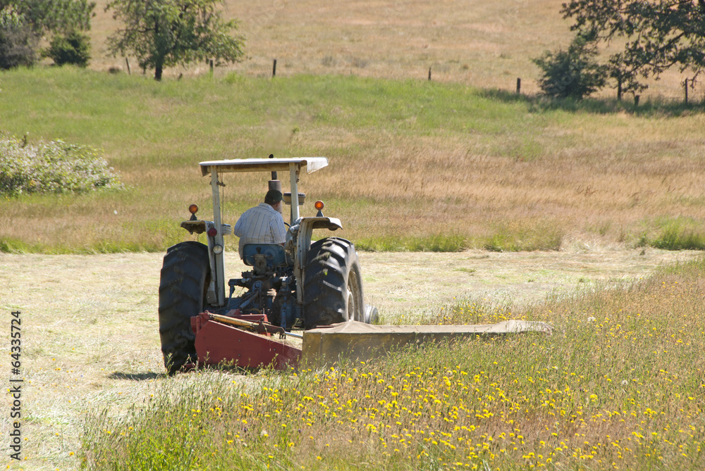 Obraz premium Cutting Hay