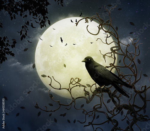 The crow and the moon