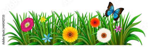 A butterfly in the garden with blooming flowers