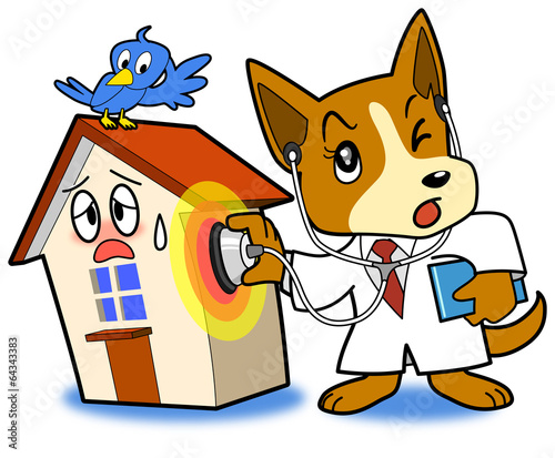 Diagnosis of the house
