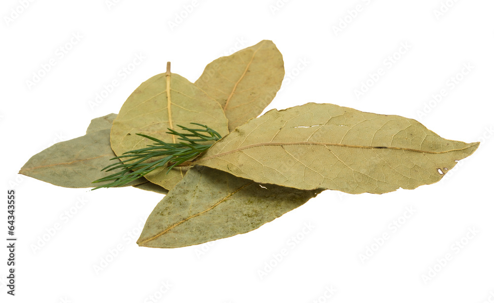Fototapeta premium Laurel leaves heap
