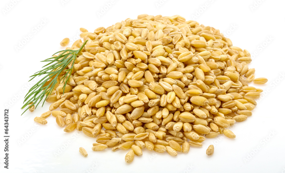 Obraz premium Gold rice