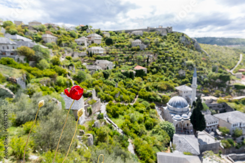 Mohn und Moschee in Počitelj in Bosnien und Herzegowina
