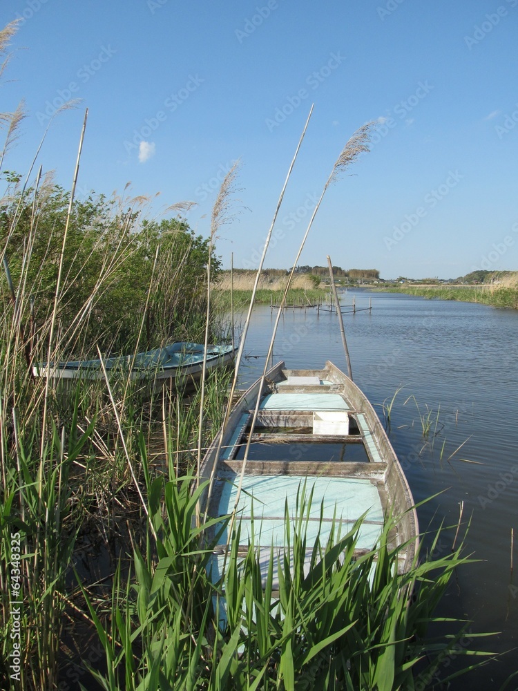 Fototapeta premium 印旛沼とボート