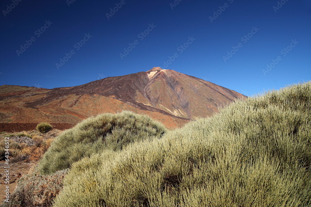 Teide Mountain and rock formation. Tenerife. 