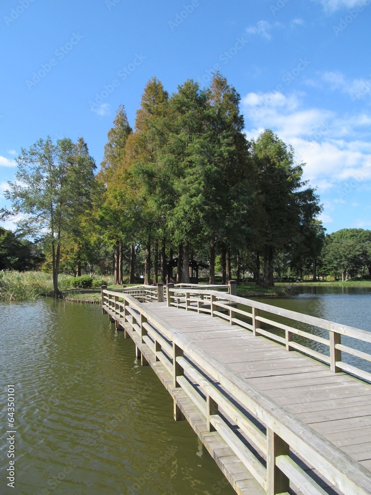 水元公園の池と木道
