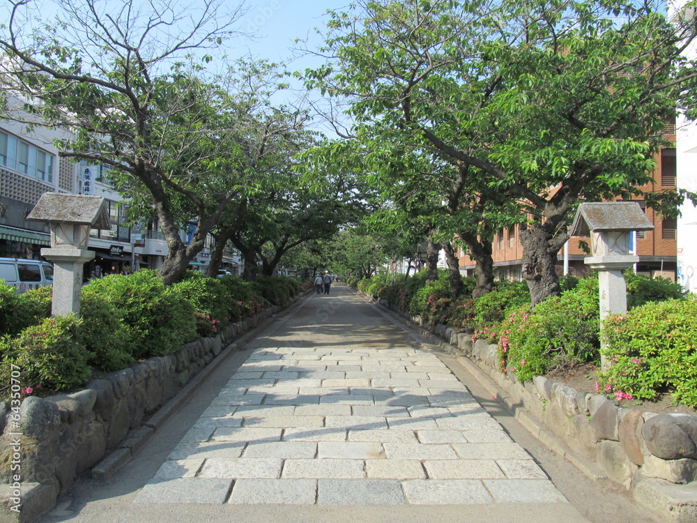鎌倉の若宮大路
