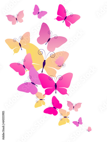 butterflies design