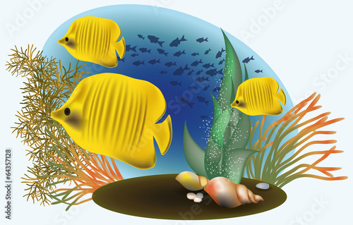 Marine life with yellow fish, vector illustration