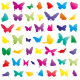 butterflies vector set