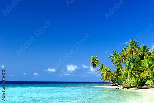 Strand mit Palmen © Loocid GmbH