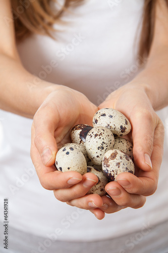 Quail eggs in hands