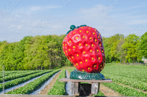 Große Erdbeere aus Kunststoff photo