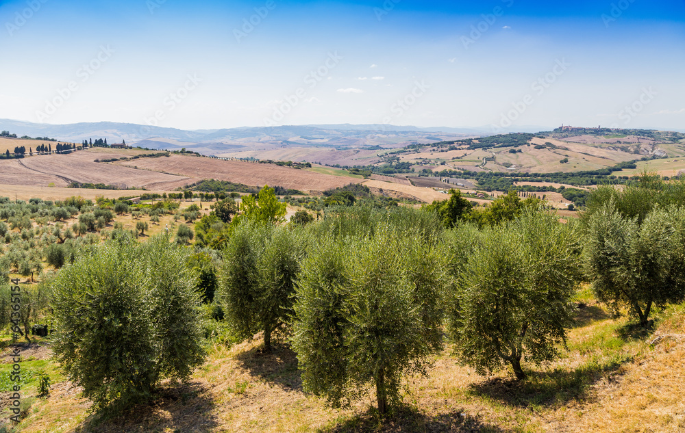 Tuscany view, Italy