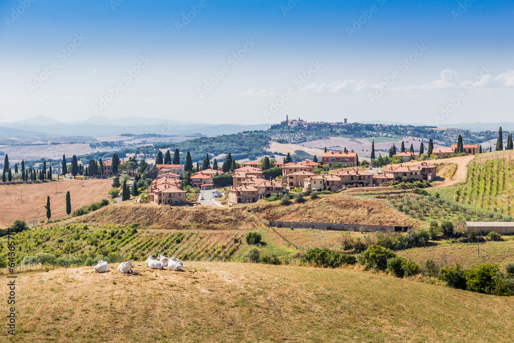 Tuscany view, Italy