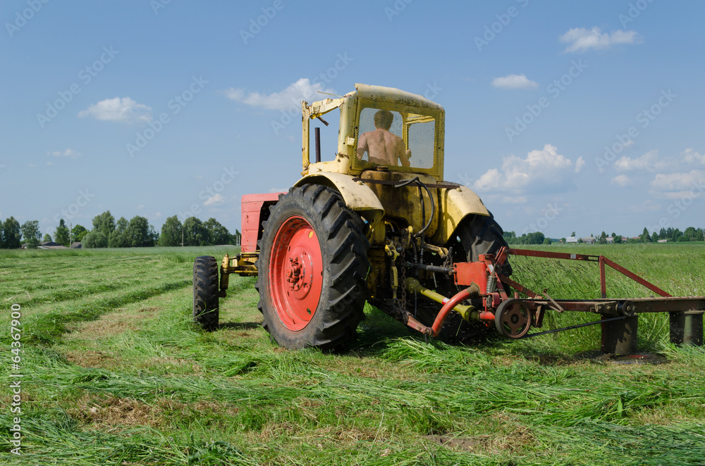 Fototapeta premium tractor cut grass makes bend in meadow