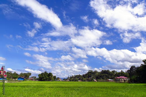 Batak Landscape.