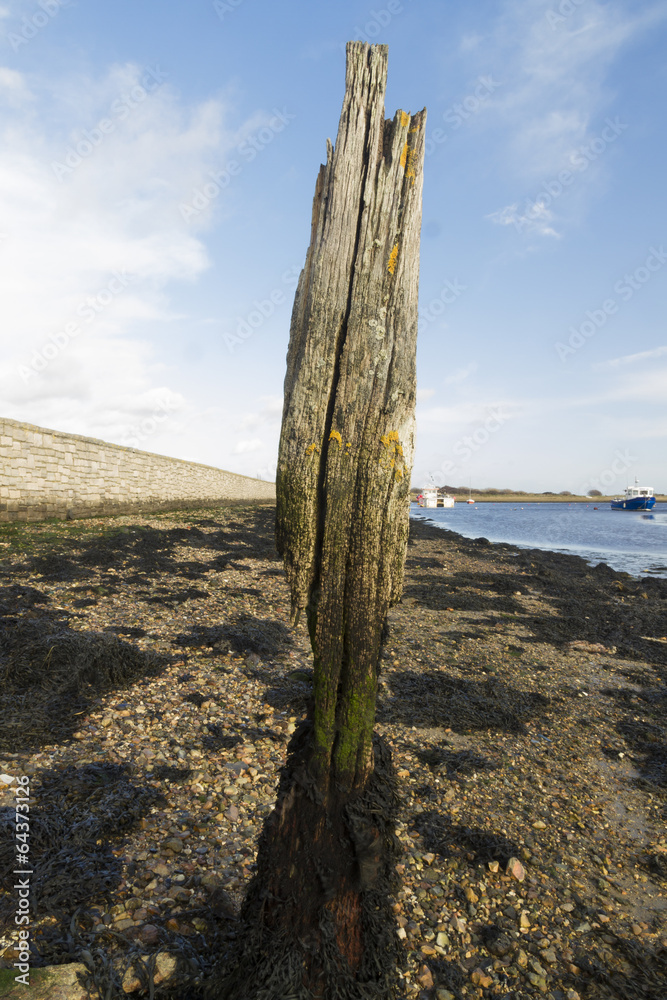 Worn eroded wood post by sea