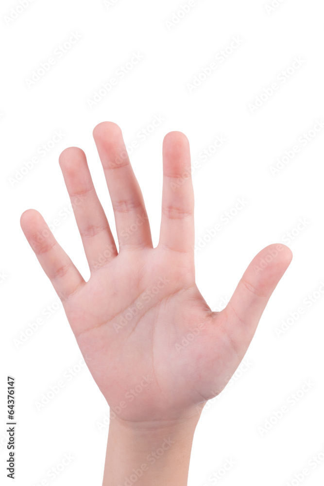small hand simulating showing number five sign. Isolated on whit small hand simulating showing number five sign. Isolated on whit