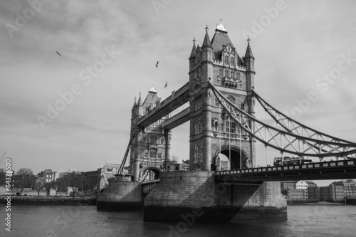 Colombe sul Tower Bridge