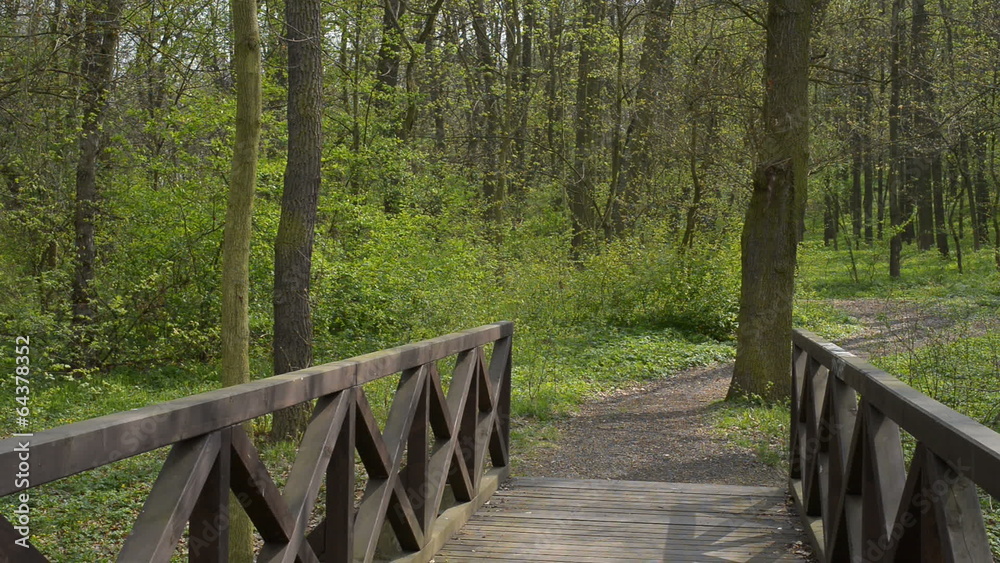 small bridge in the forest in the springtime,locked down small bridge in the forest in the springtime,locked down