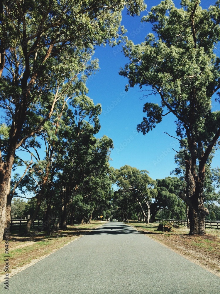 Obraz premium australian country road