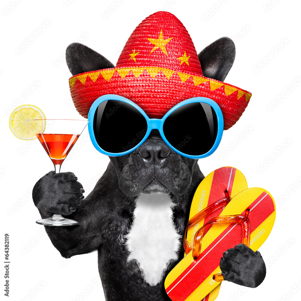 mexican dog - obrazy, fototapety, plakaty 