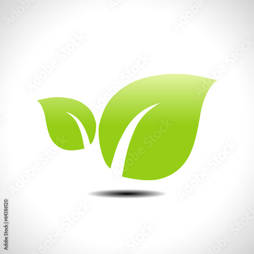 Green leaves