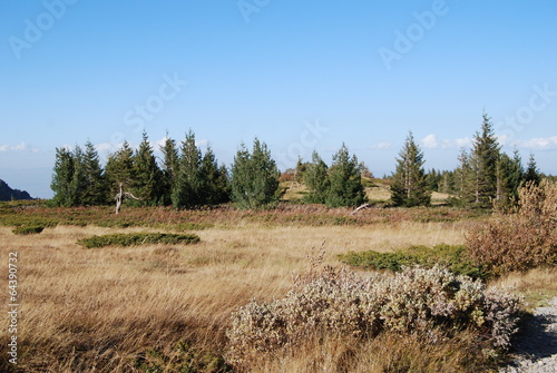 The Vitosha Mountains