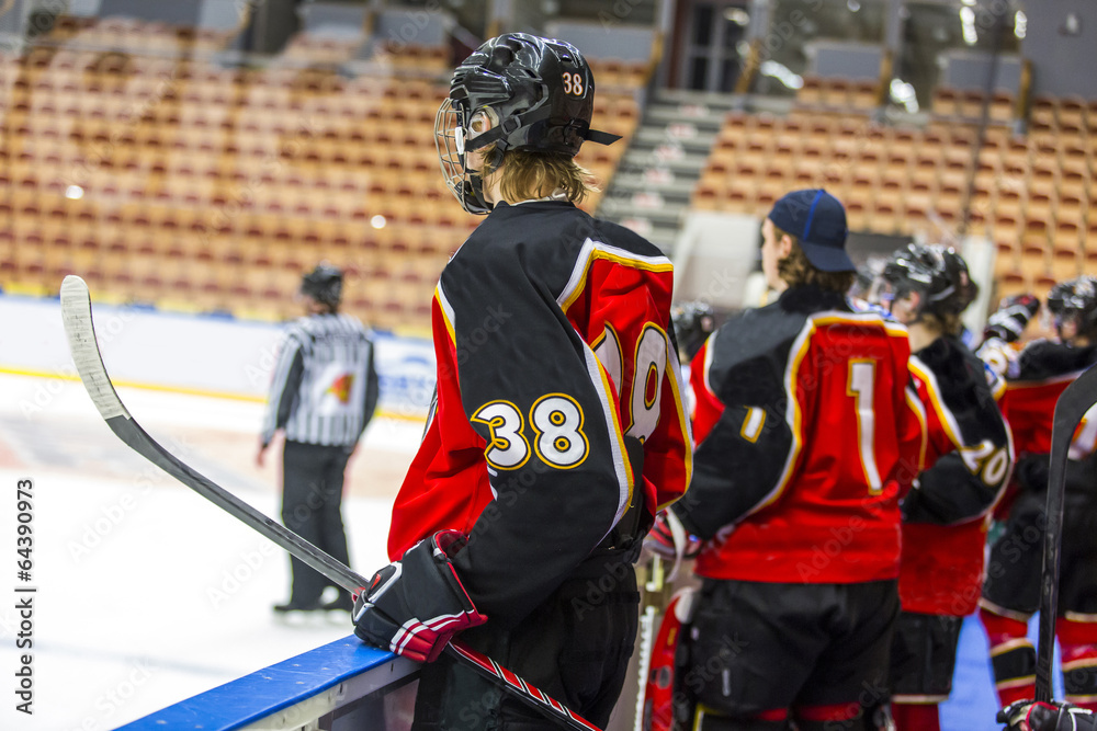 Obraz premium Hockey